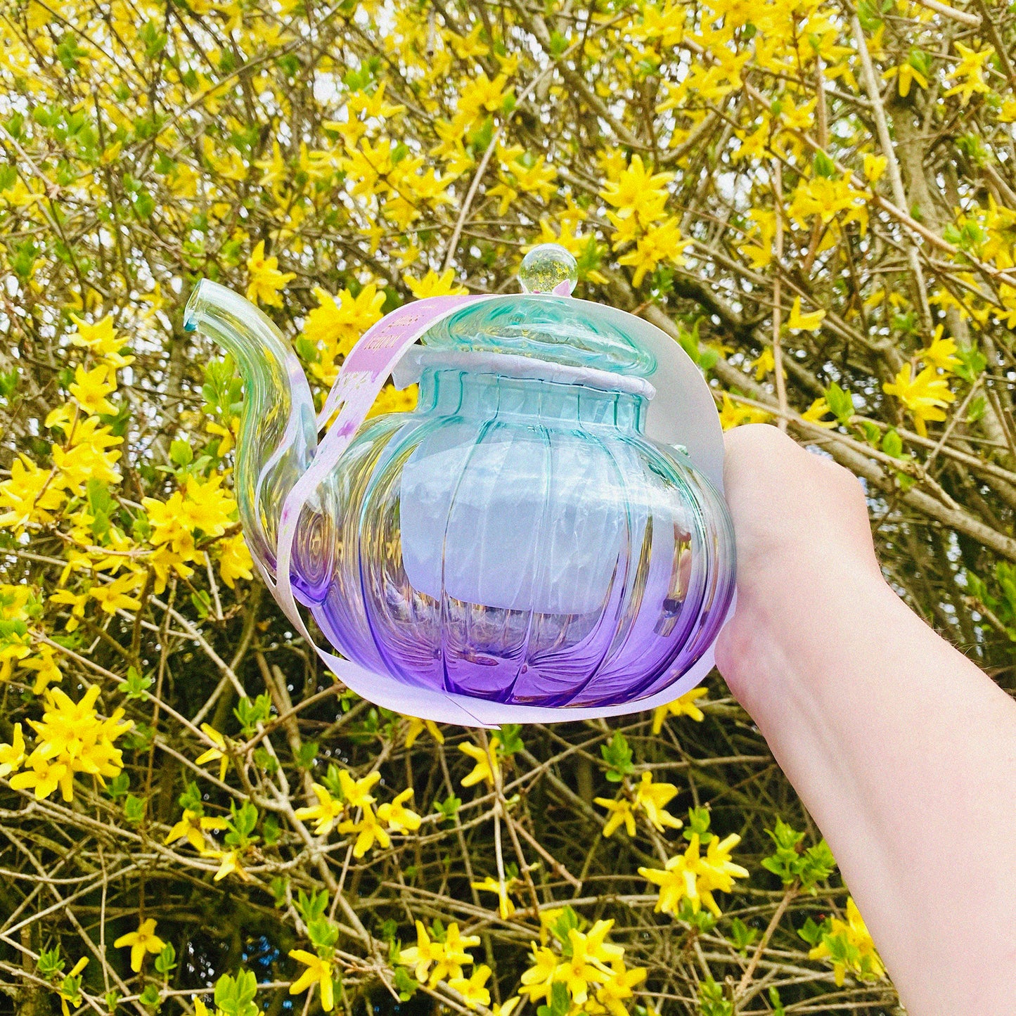 Ribbed Borosilicate Two Tone Green & Lilac Glass Teapot 1000ml